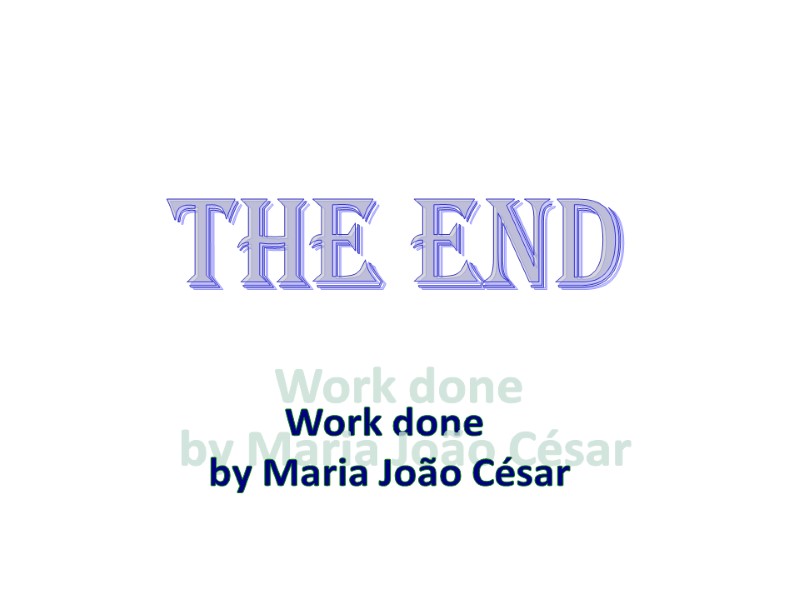 THE END Work done  by Maria João César